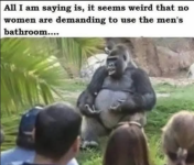 1757248811463.png