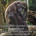 1757856481615.png