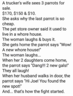 1758017227406.png