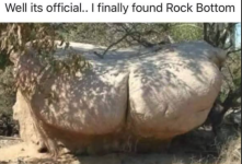 1758053332736.png