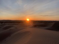 IMG_8577.jpeg