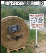 1758099879938.png
