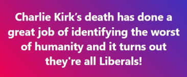 1758204519277.png