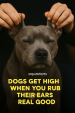 1758208807227.png