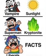 1758285425682.png
