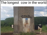 1758315894018.png