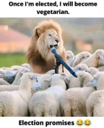 1758571853416.png