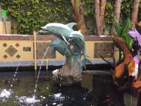 IMG_3597.JPG