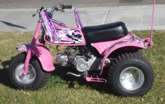 pink 70.jpg