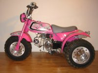 pink 70 sterdy.jpg