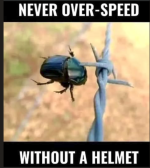 1759097299726.png