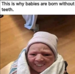 1759271681551.png