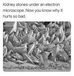 558140442_10163078979604061_2583638423654674697_n.jpg