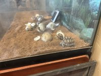IMG_1987.jpeg