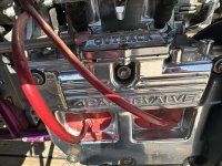 IMG_6003.jpeg