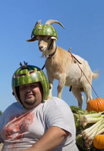 1759873621727.png