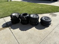 IMG_6064.jpeg