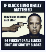 1760012368002.png