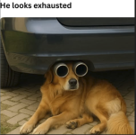 1760045247650.png