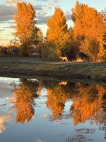 IMG_0114.jpeg