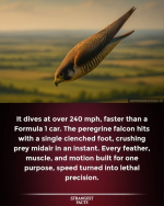 1760367880159.png