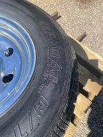 IMG_3764.jpeg IMG_3764.jpeg