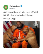1760437392935.png