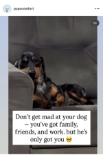 1760437812723.png