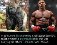 1760438284847.png