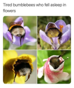 1760438490972.png