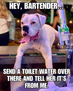 1760446274311.png