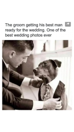 1760447243515.png