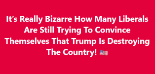1760447438851.png