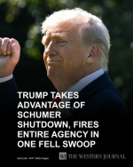1760528095016.png