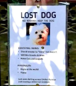 1760617552084.png