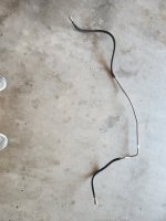 fuel line.jpg fuel line.jpg