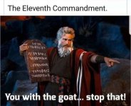 a5qy44r_700b_da6b3fe47f87c66532a255a629792af474ff72d0.jpg