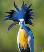 1761170212286.png