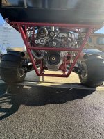 IMG_4813.jpeg IMG_4813.jpeg