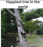 1761598962402.png