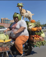 1761685166174.png 1761685166174.png