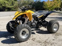 IMG_5883.jpeg IMG_5883.jpeg