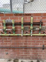 IMG_8997.jpeg IMG_8997.jpeg