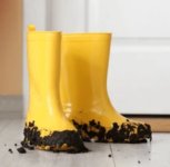 IMG_20251030_194939.jpg IMG_20251030_194939.jpg