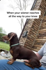 Screenshot 2025-11-11 at 13-17-29 (1) Facebook.png