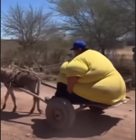 1762987851877.png 1762987851877.png