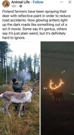 1763334517131.png 1763334517131.png