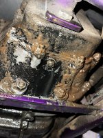 IMG_9977.jpeg IMG_9977.jpeg