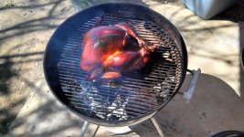 IMG_20140513_151731_359_zpsaf95a5af.jpg IMG_20140513_151731_359_zpsaf95a5af.jpg