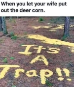 1763646247676.png 1763646247676.png